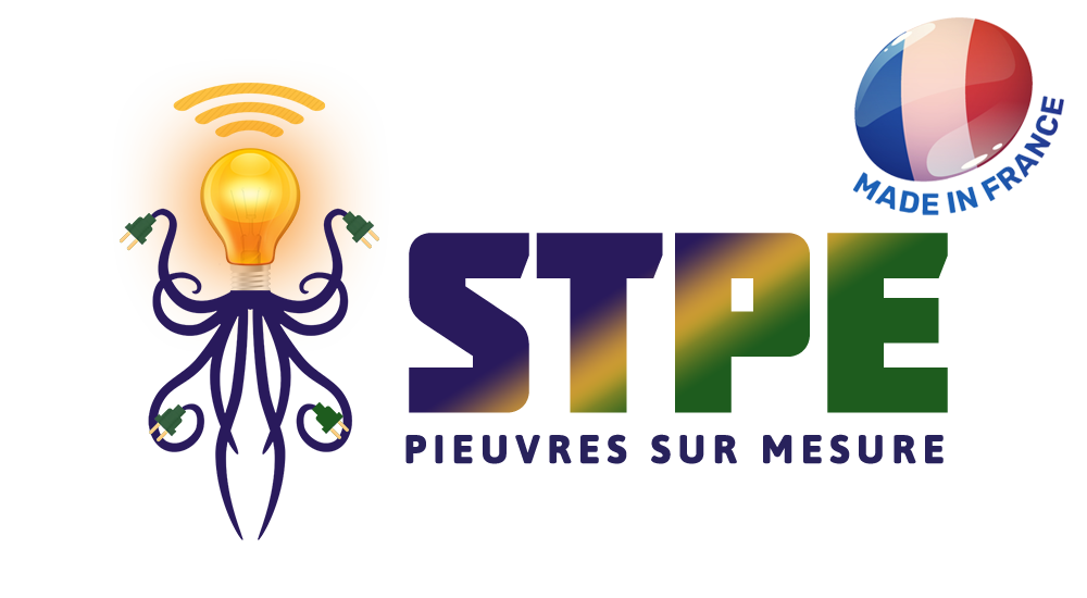 Logo STPE
